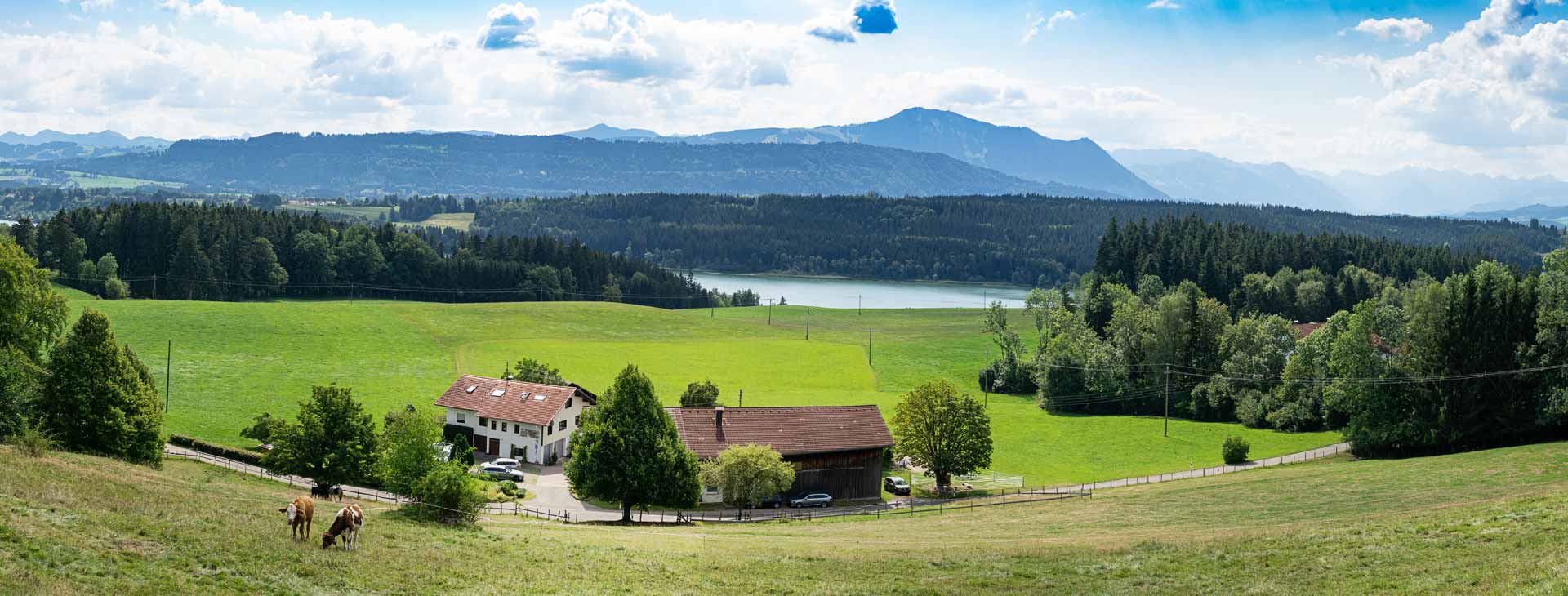 Ferienhof mit Bergblick