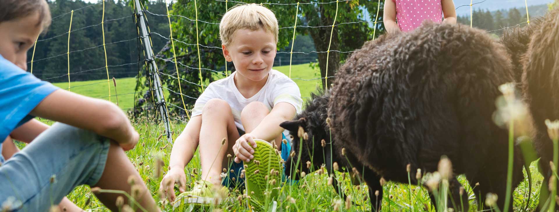 Kinder Bei Den Schafen